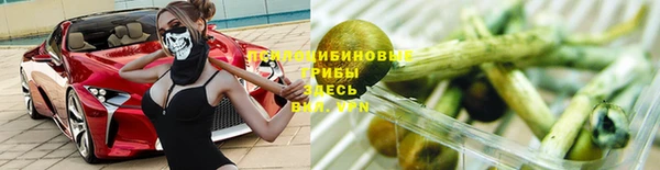 бутират Баксан