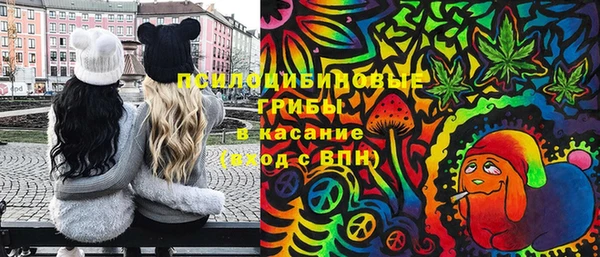 хмурый Балабаново