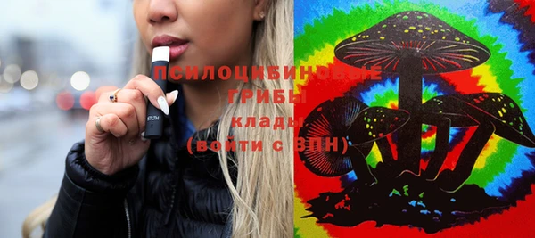 дурь Балахна