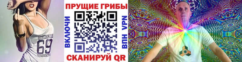 где можно купить   Бабаево  Галлюциногенные грибы Magic Shrooms 